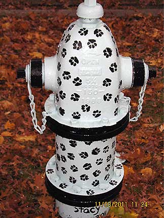 Hoochs Hydrant - Cornell and Adams (2)